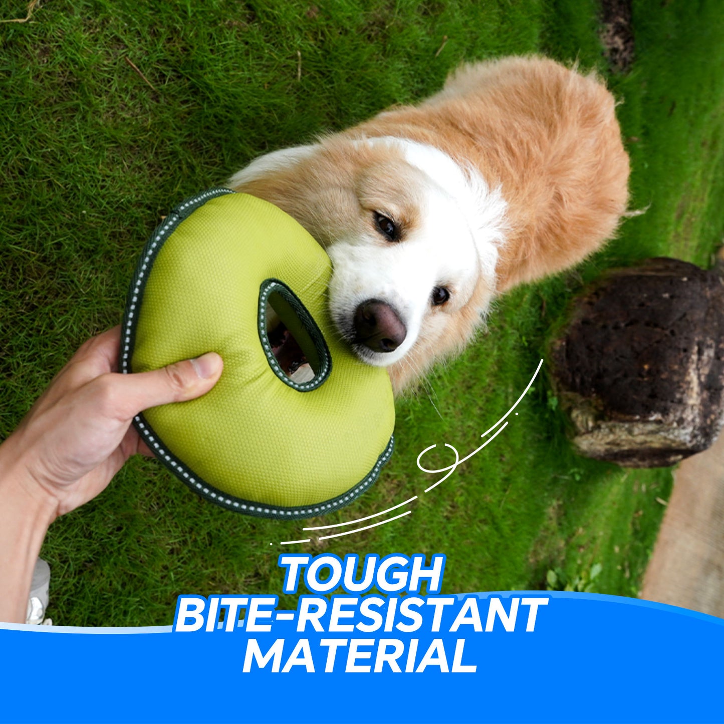 Dog Flying Disc