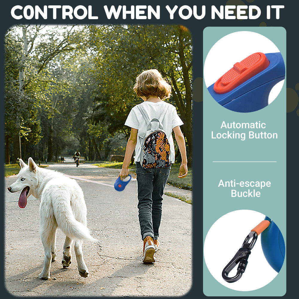 Dog Leash