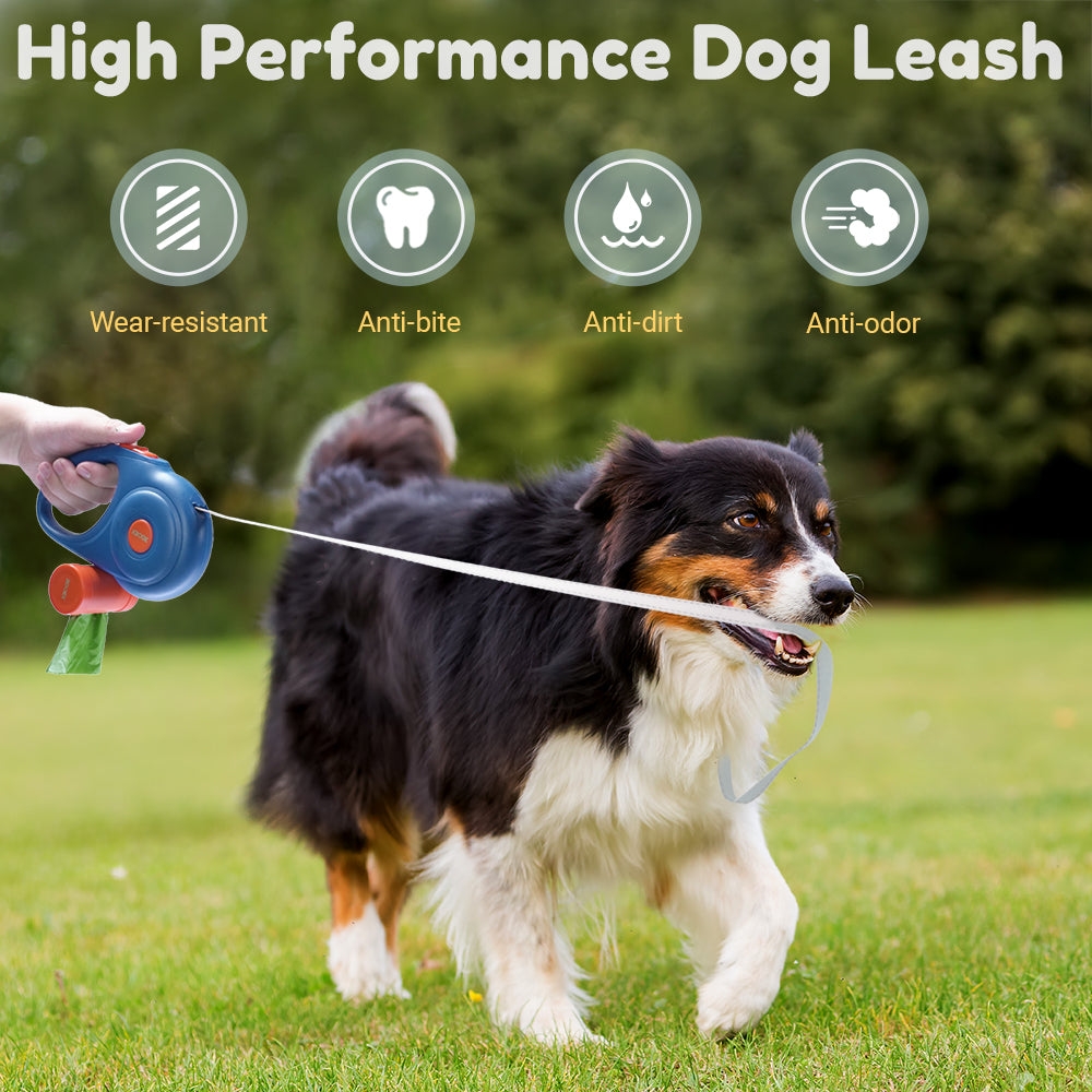 Dog Leash