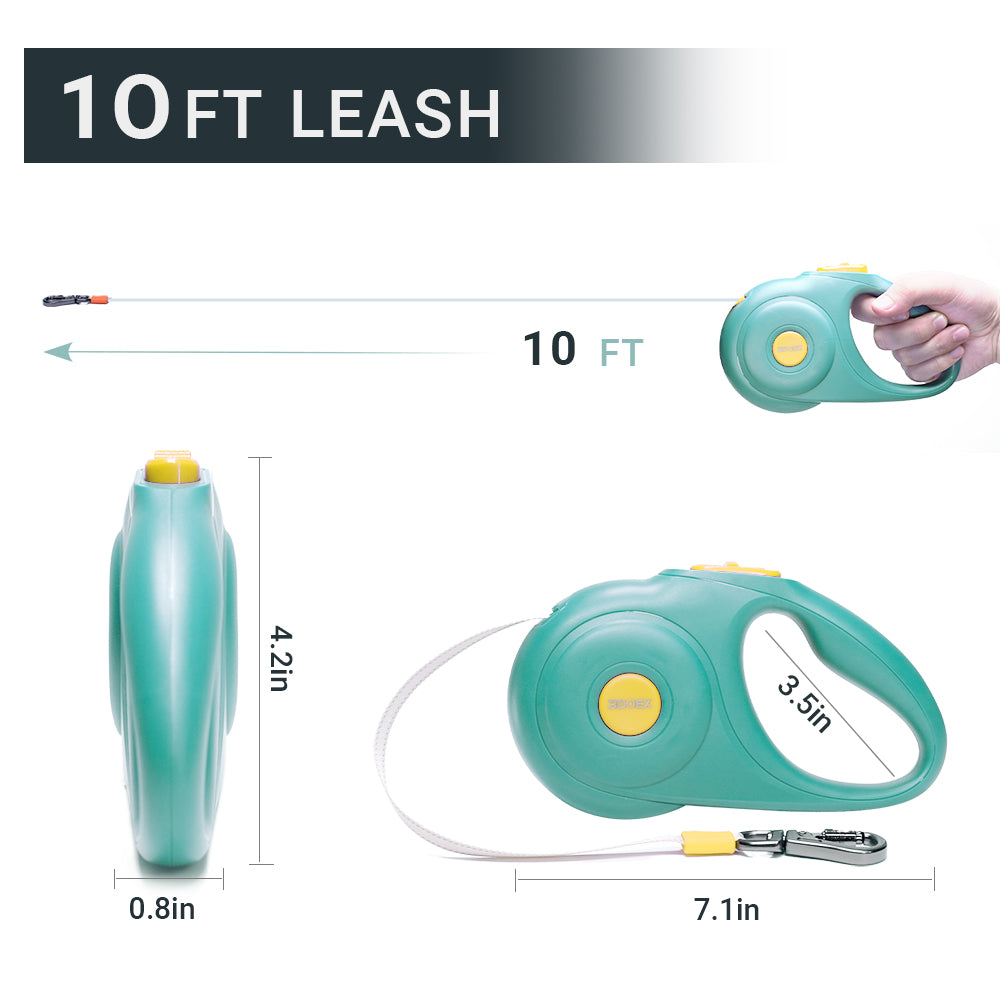 Dog Leash