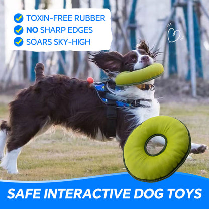 Dog Flying Disc